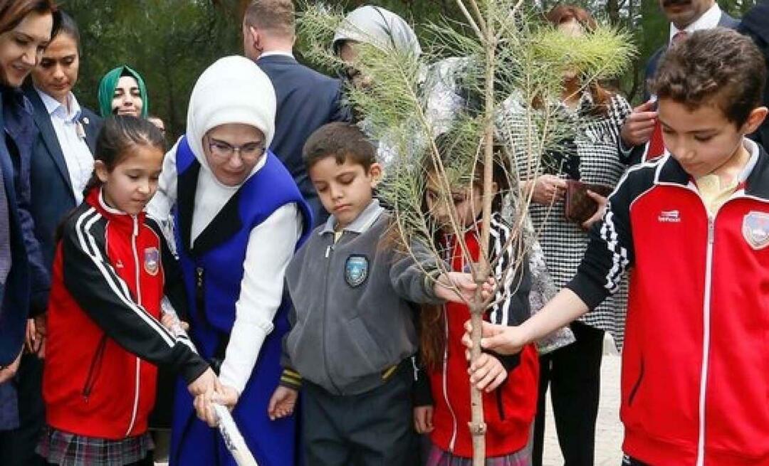 Message de la Première Dame Erdoğan sur la Journée nationale du boisement