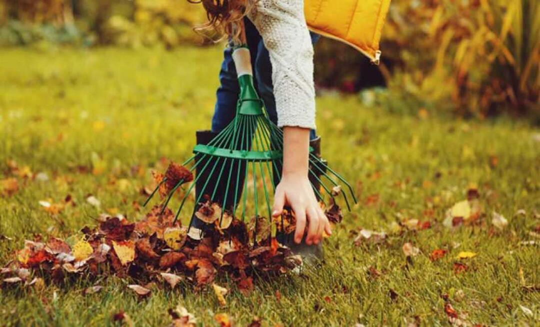 Comment nettoyer le jardin en automne? Le jardin est-il biné en automne? nettoyage du jardin