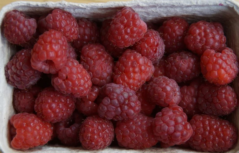 Quels sont les bienfaits de la framboise? La framboise, le nutriment hématopoïétique! Si vous buvez du jus de framboise ...