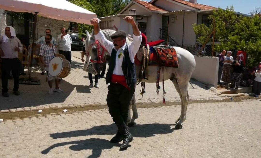 Le cheval jouant avec son propriétaire est devenu l'agenda des réseaux sociaux !