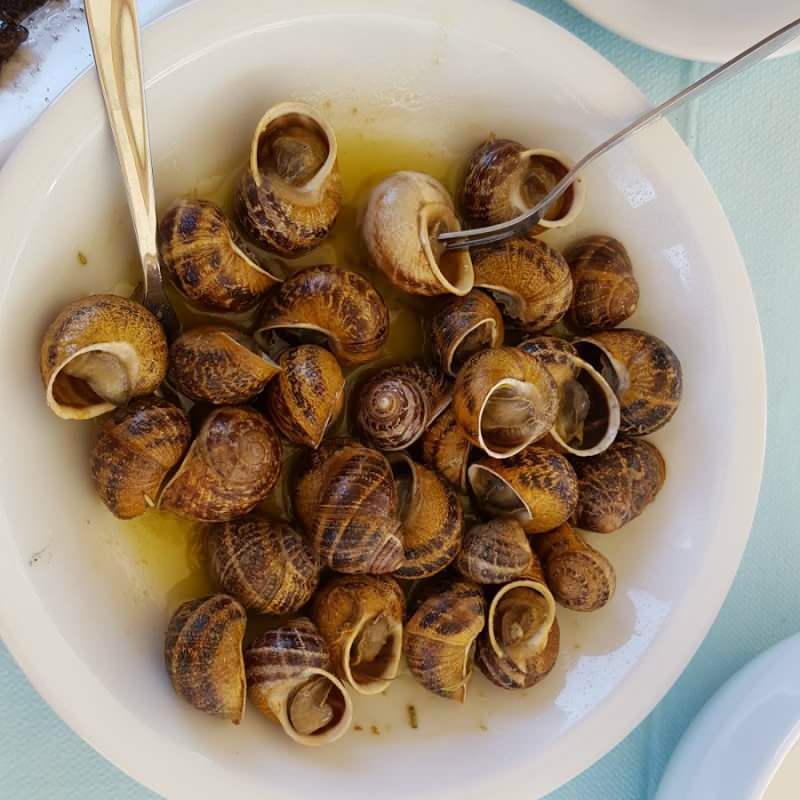 Qu'est-ce que Garaville? Comment est fabriqué Garaville à partir d'escargots?