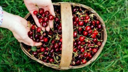 Comment choisir des cerises naturelles? Comment faire du thé à la cerise?