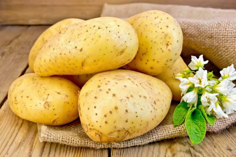 Quelle est cette différence entre les pommes de terre à frire et à cuire?
