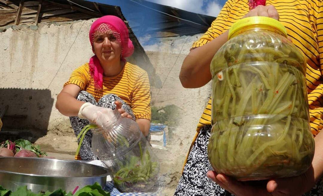 Qu'est-ce que le cornichon Pezik et comment est-il fabriqué? Quels sont les bienfaits du cornichon Sivas dal pezik ?