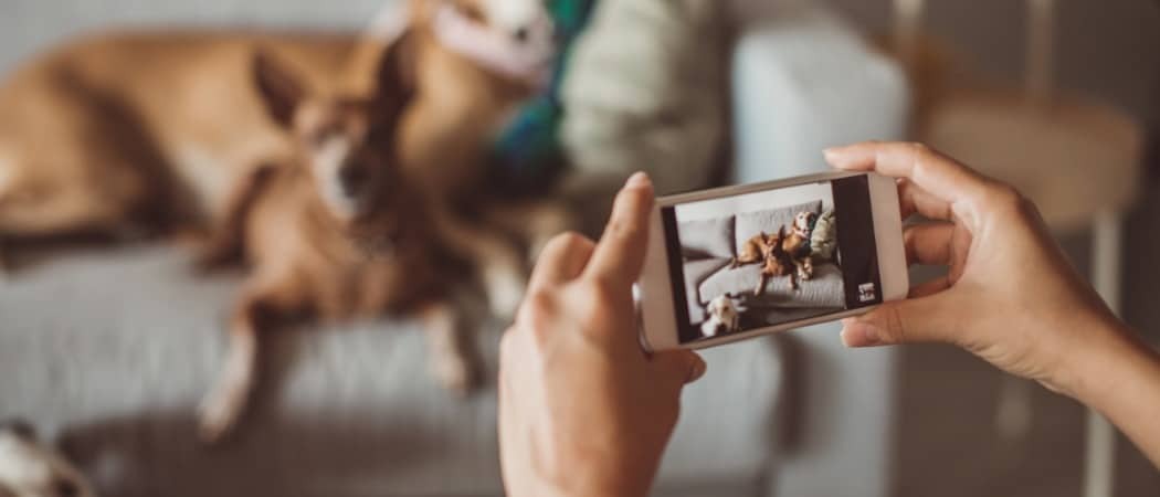 Qu'est-ce que la norme photo HEIF et pourquoi devriez-vous vous en soucier