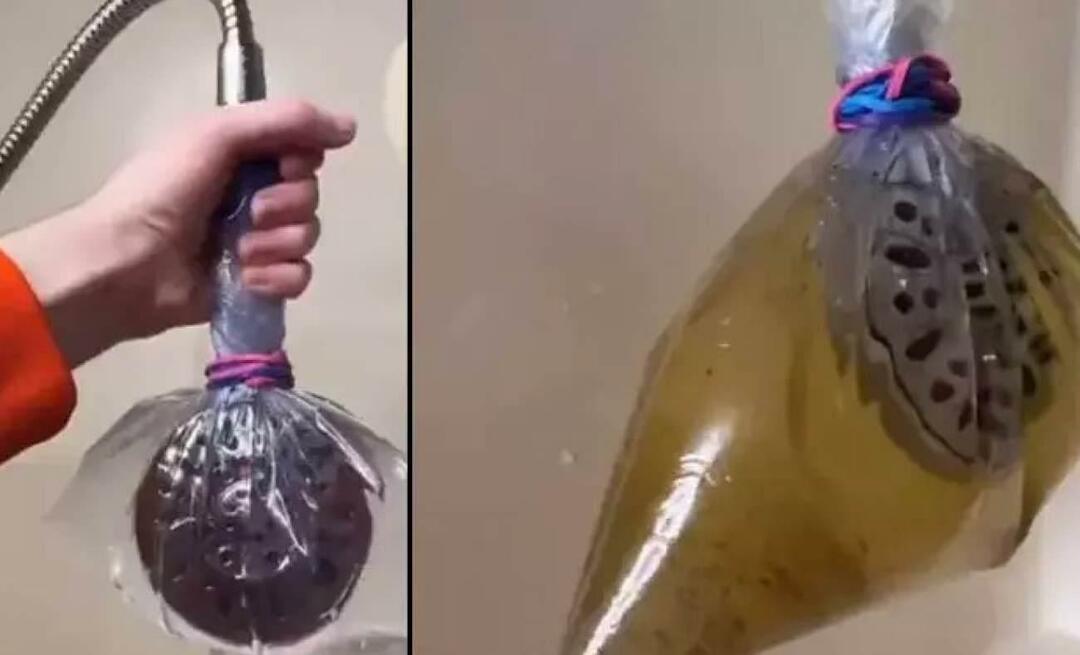 Une pomme de douche peut-elle nous rendre malade? Déclaration effrayante des experts! Qu’est-ce que la maladie de la pomme de douche ?