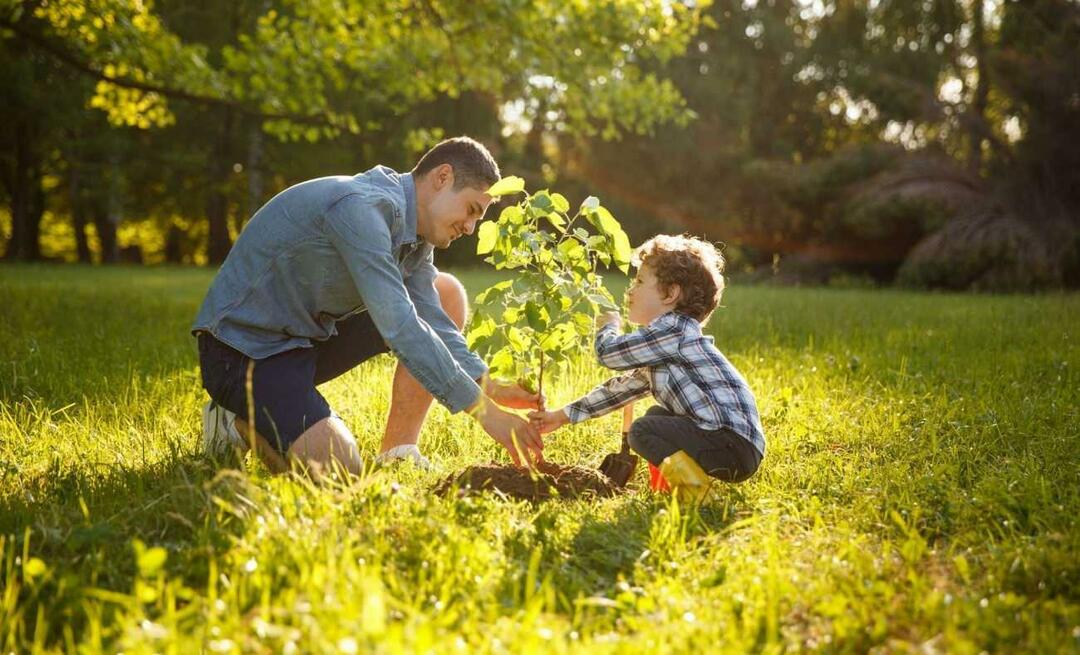 Quels sont les moyens d’inculquer l’amour de la nature aux enfants? Comment expliquer l’importance de la nature aux enfants ?